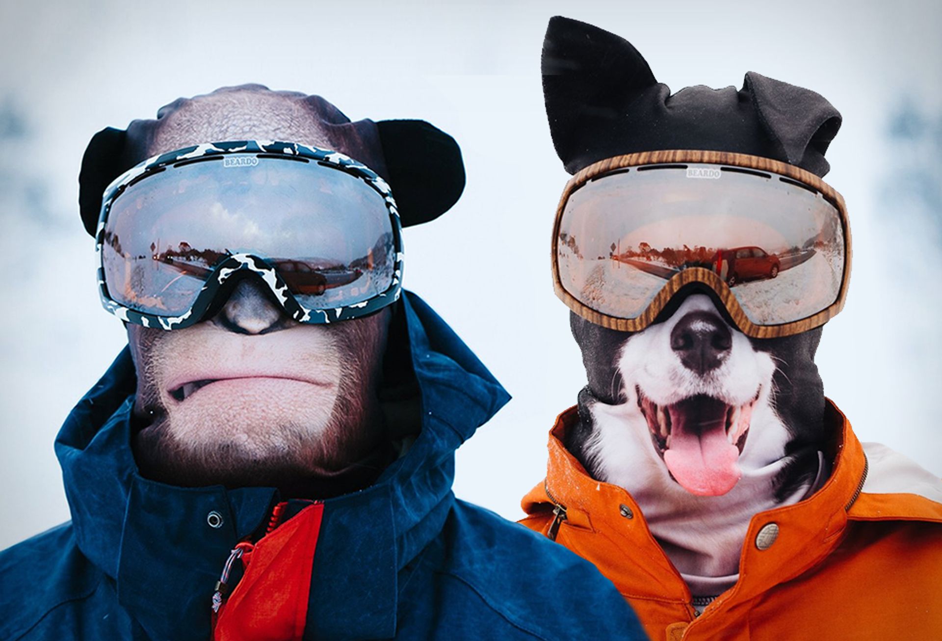 Ski masker dieren