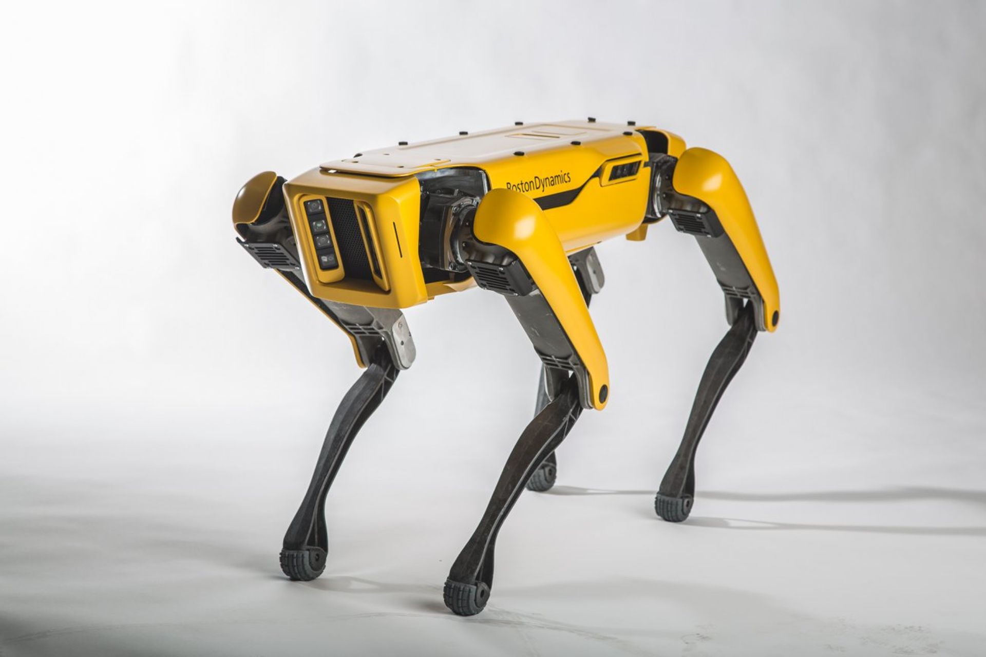 Hond SpotMini Boston Dynamics