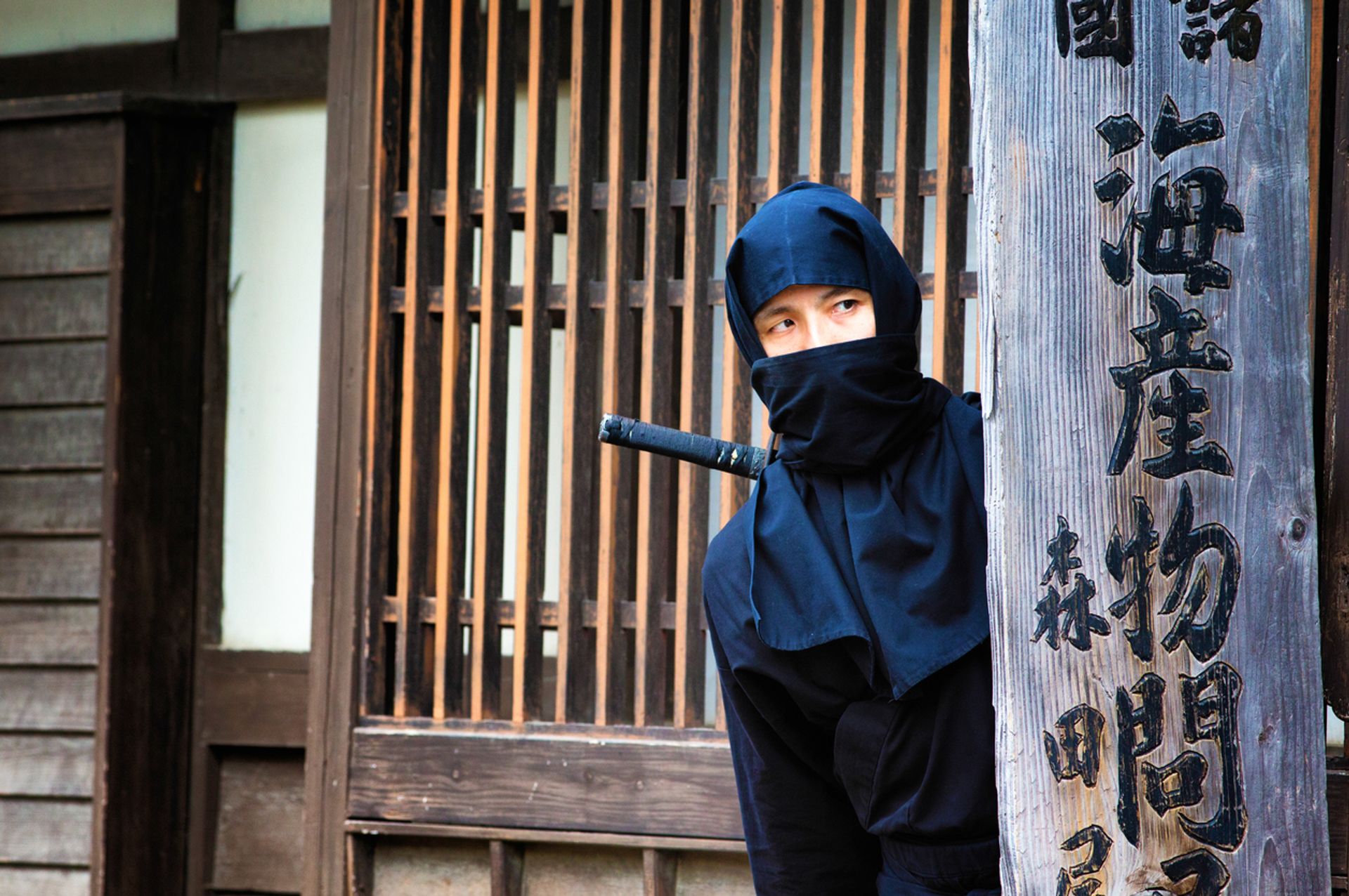 Ninja Iga Japan Salaris