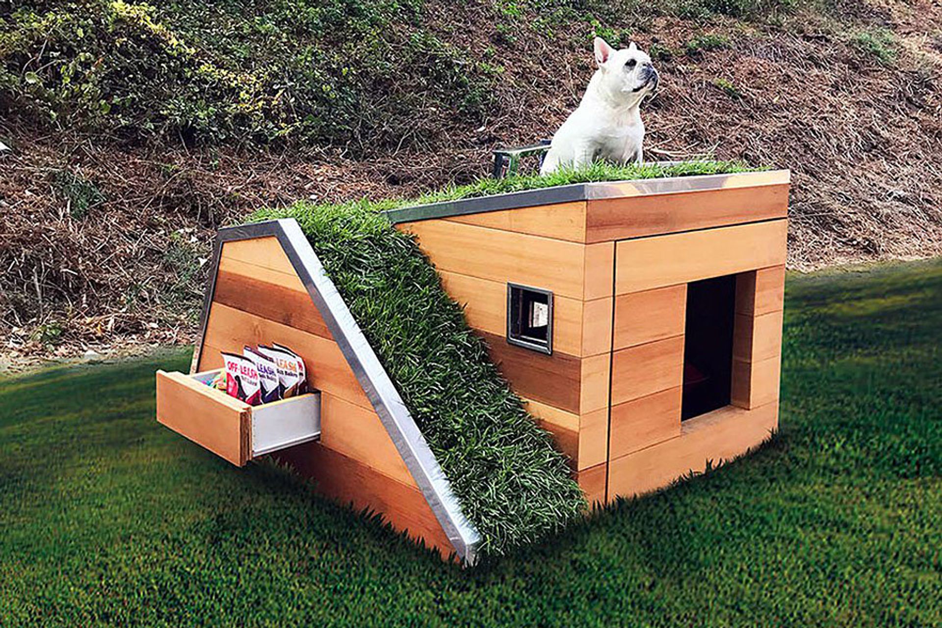 Dog Friendly Houses For Rent