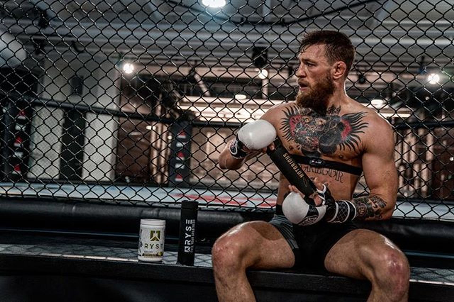 UFC 229 embedded Conor McGregor gewoonvoorhem
