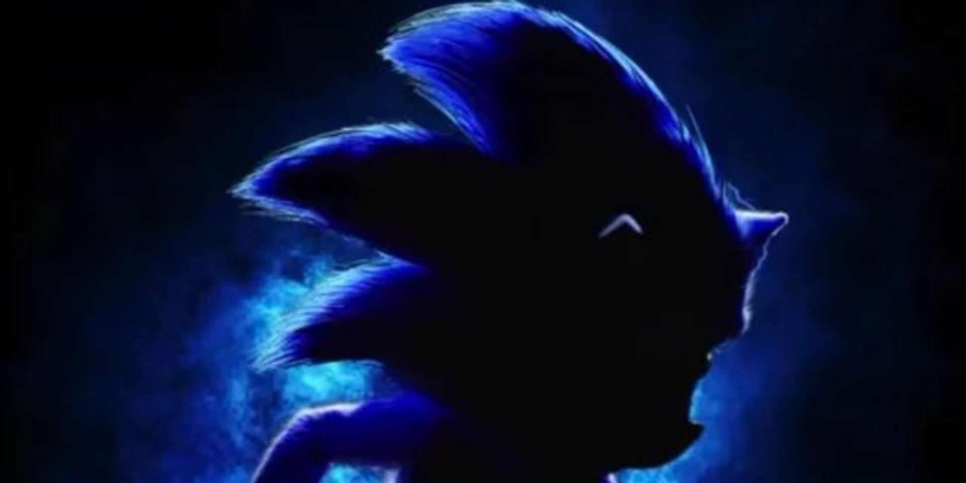 Sonic the Hedgehog gewoonvoorhem 1