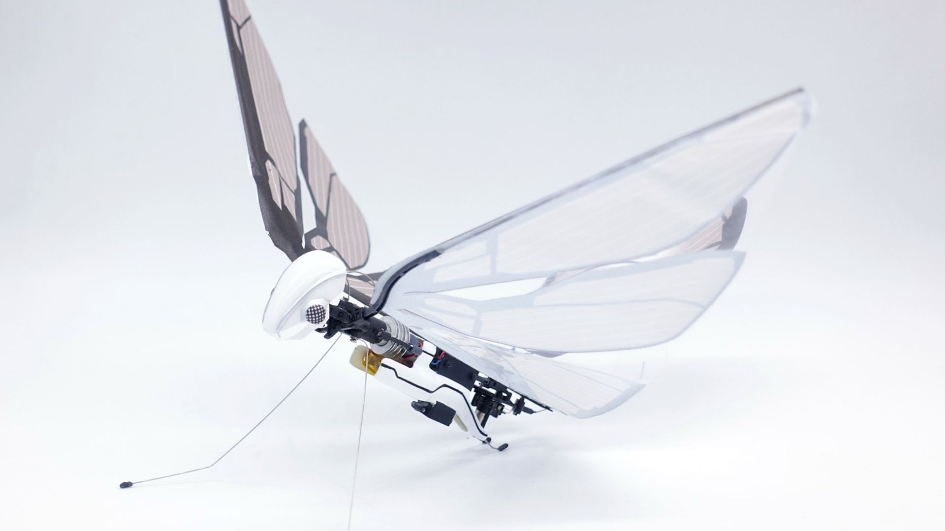 MetaFly eerste Bestuurbare vliegende robotvogel