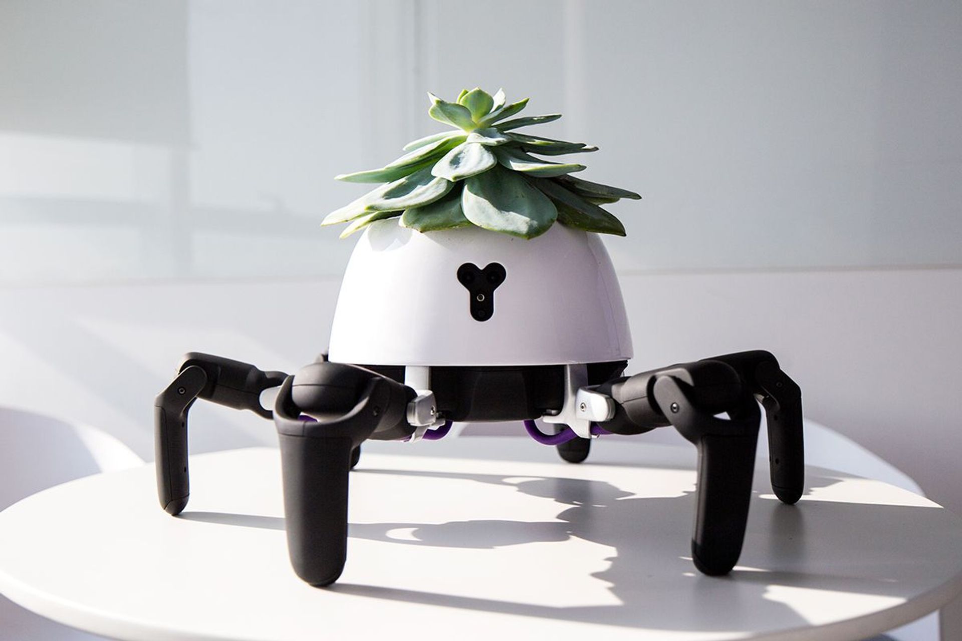 plantrobot