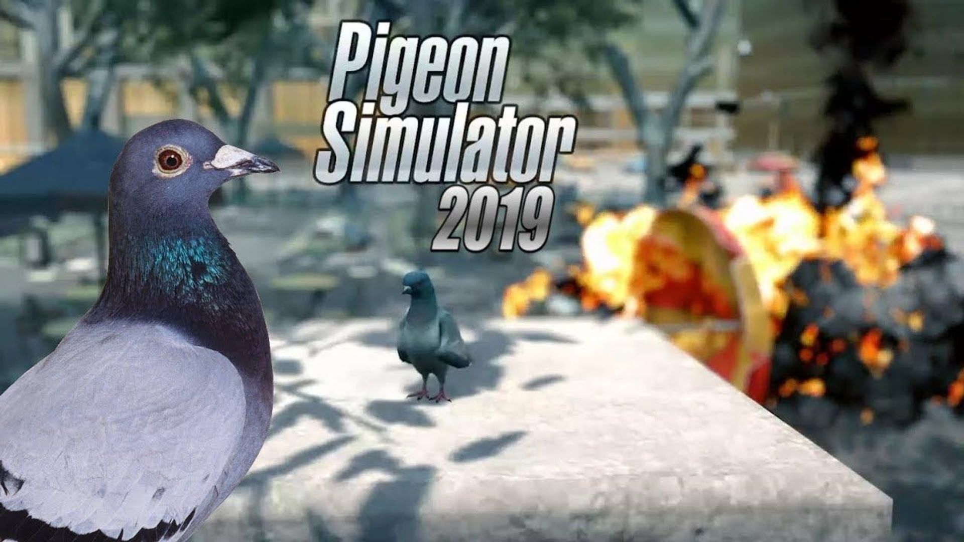 Pigeon Simulator 2019