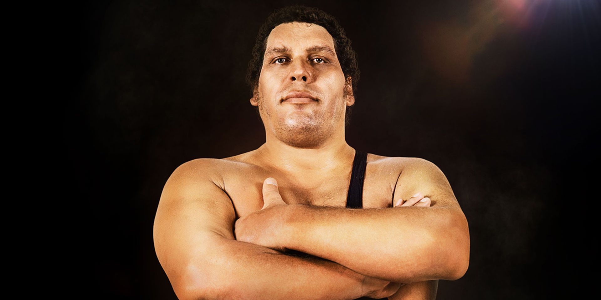 André the giant