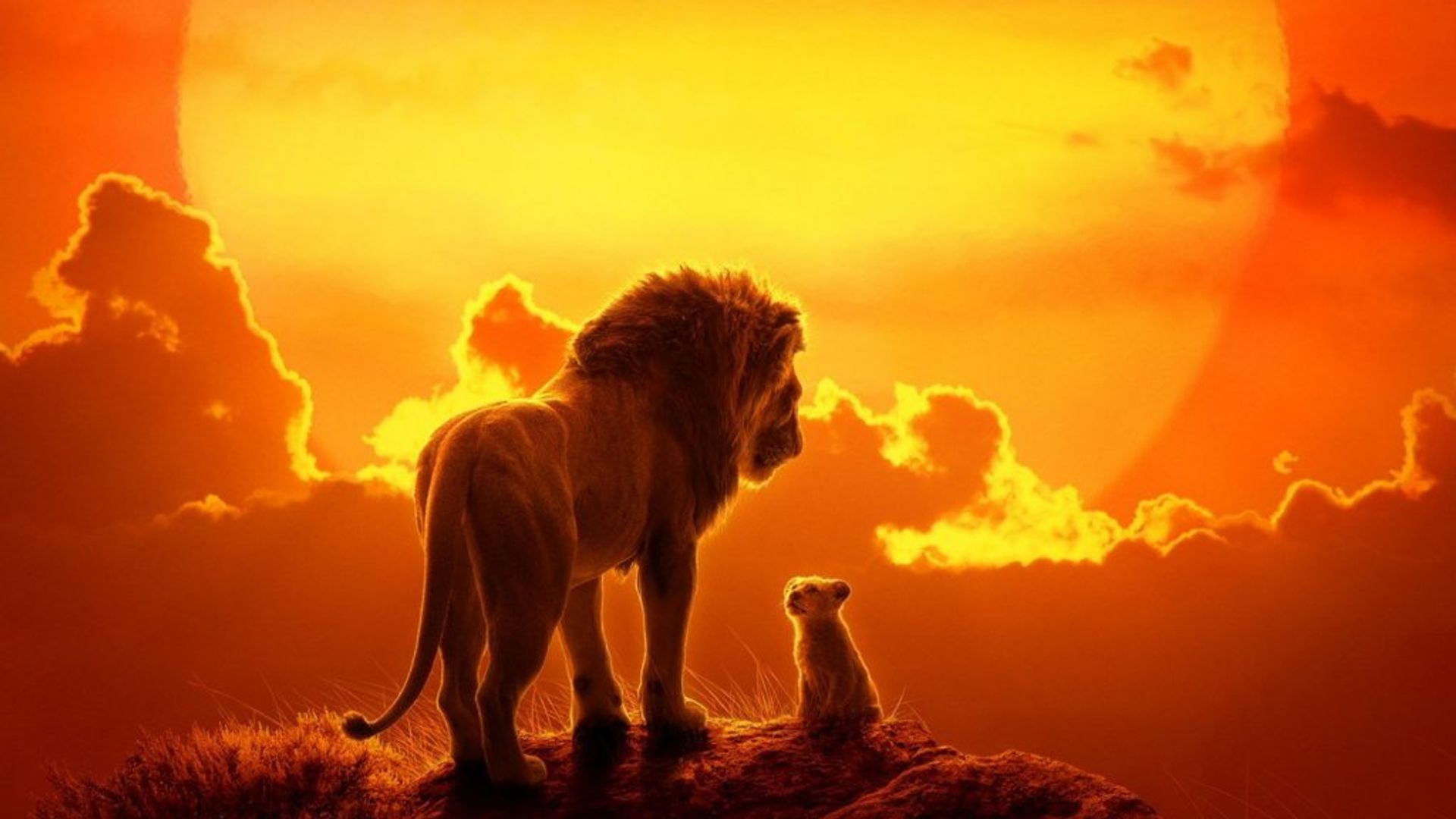 The Lion King tweede trailer Gewoonvoorhem