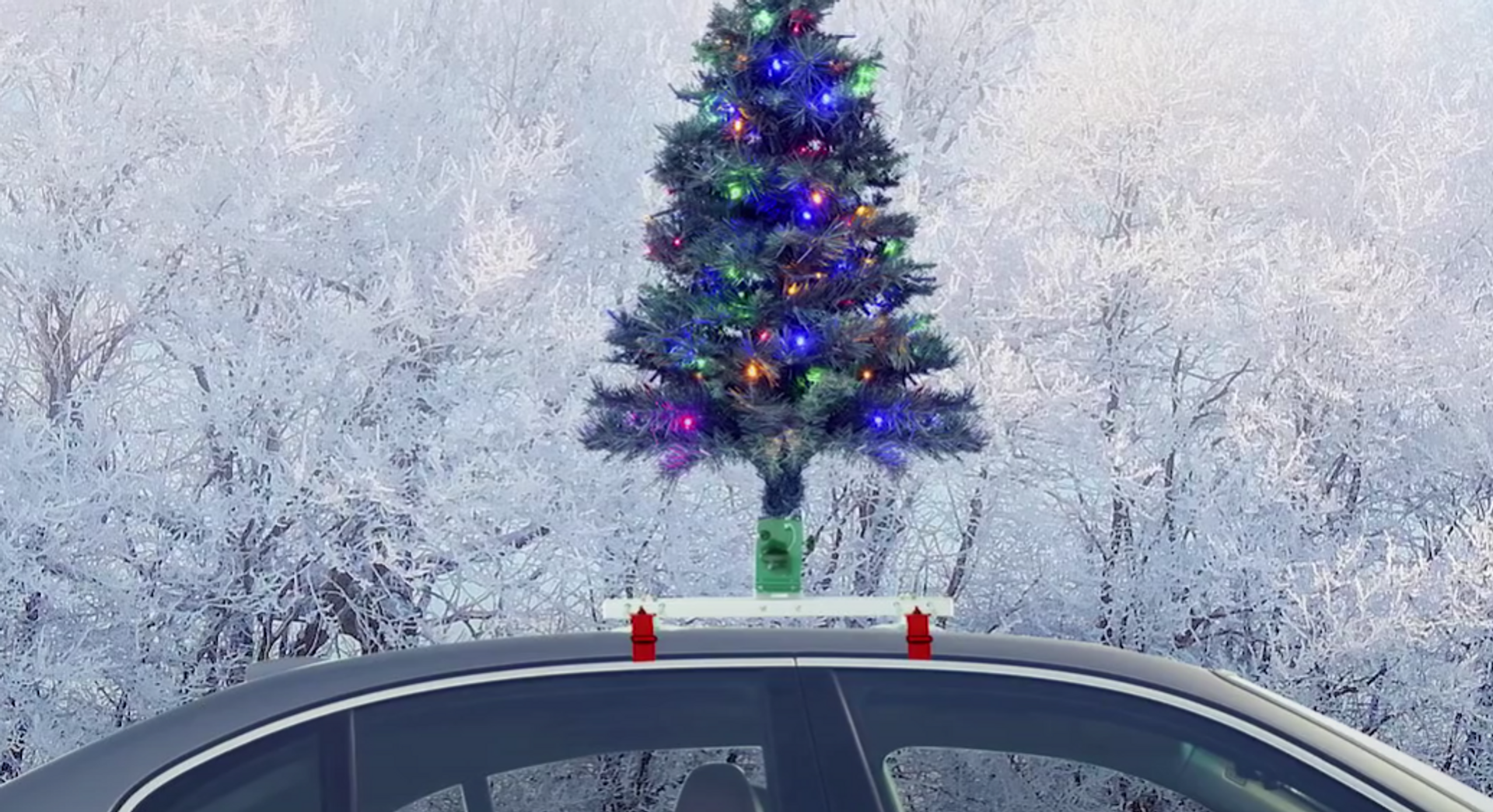 auto kerstboom