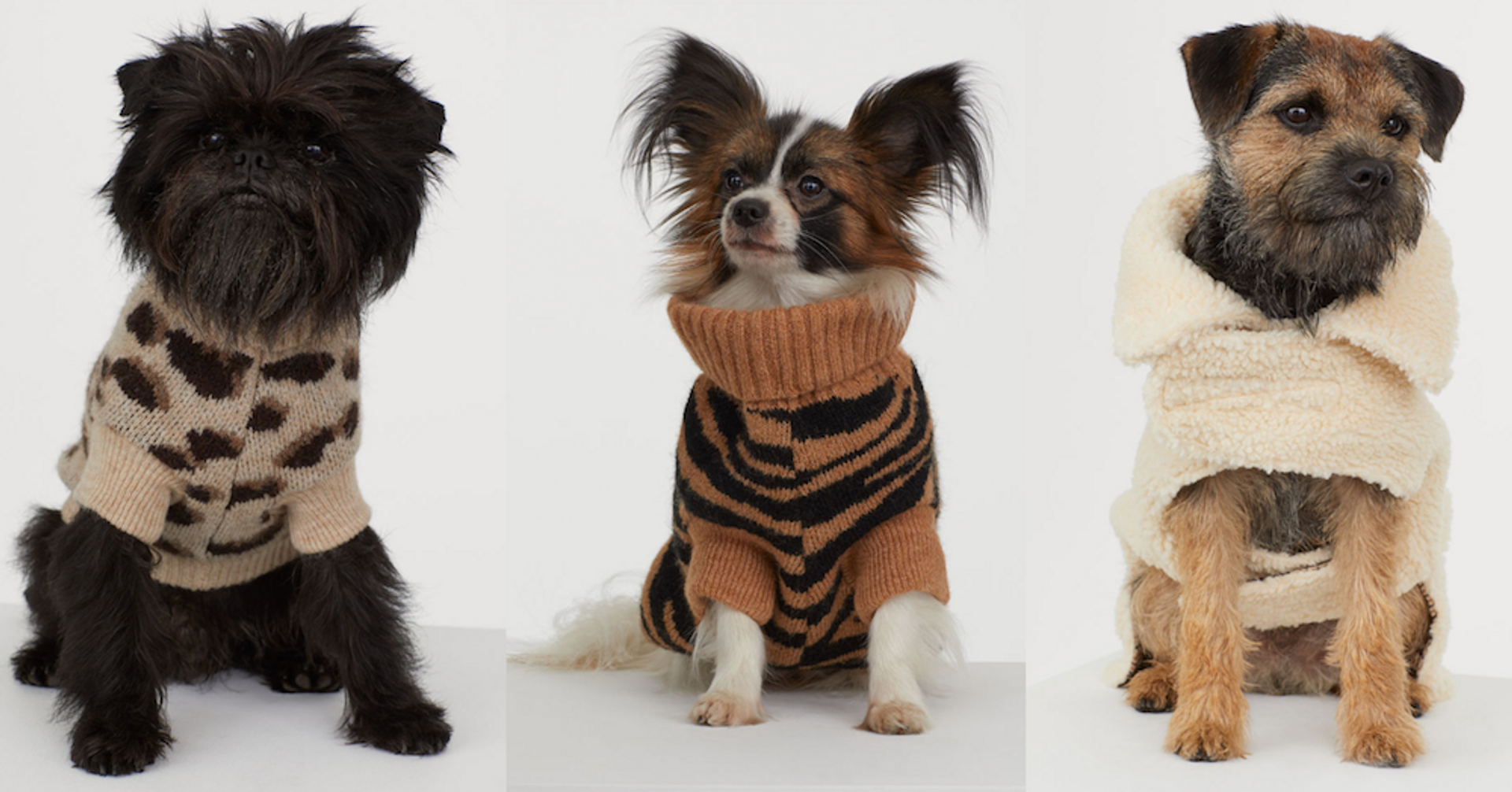 explosie Carrière het kan OMG: H&M heeft een hondencollectie die je alleen vandaag met 20% korting  shopt! - Girlscene