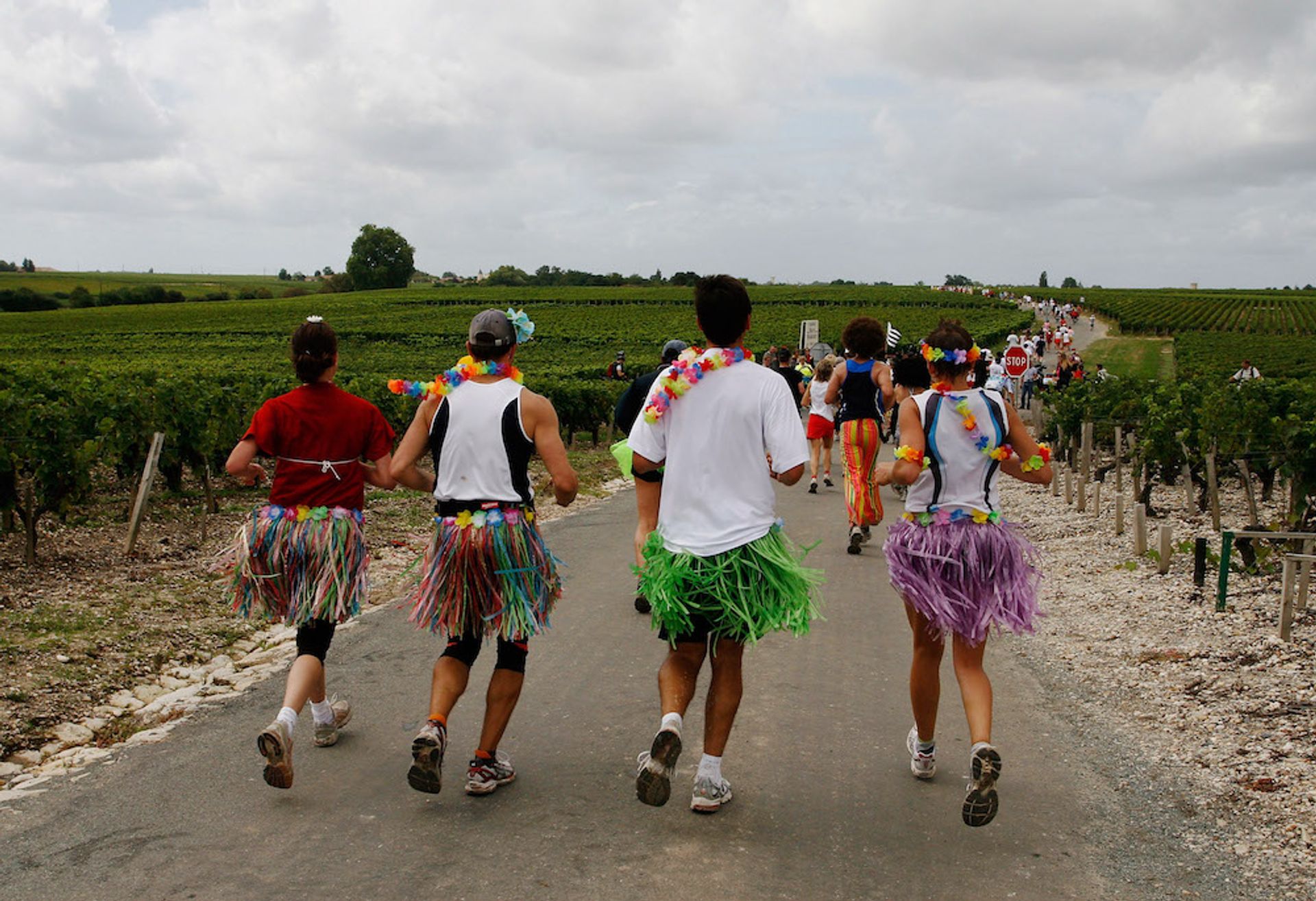 Er bestaat een wijn en kaas marathon