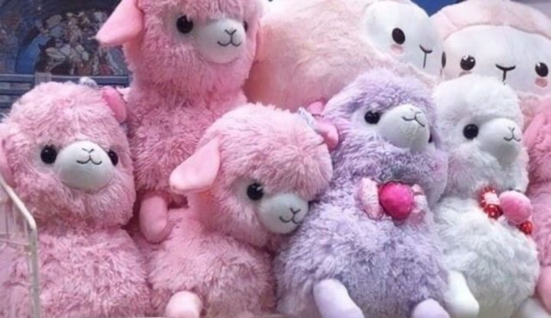 alpaca-knuffels