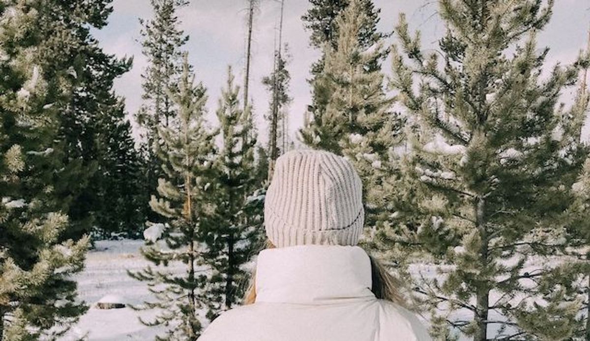 Op deze locaties in Nederland kan je zélf je kerstboom omzagen