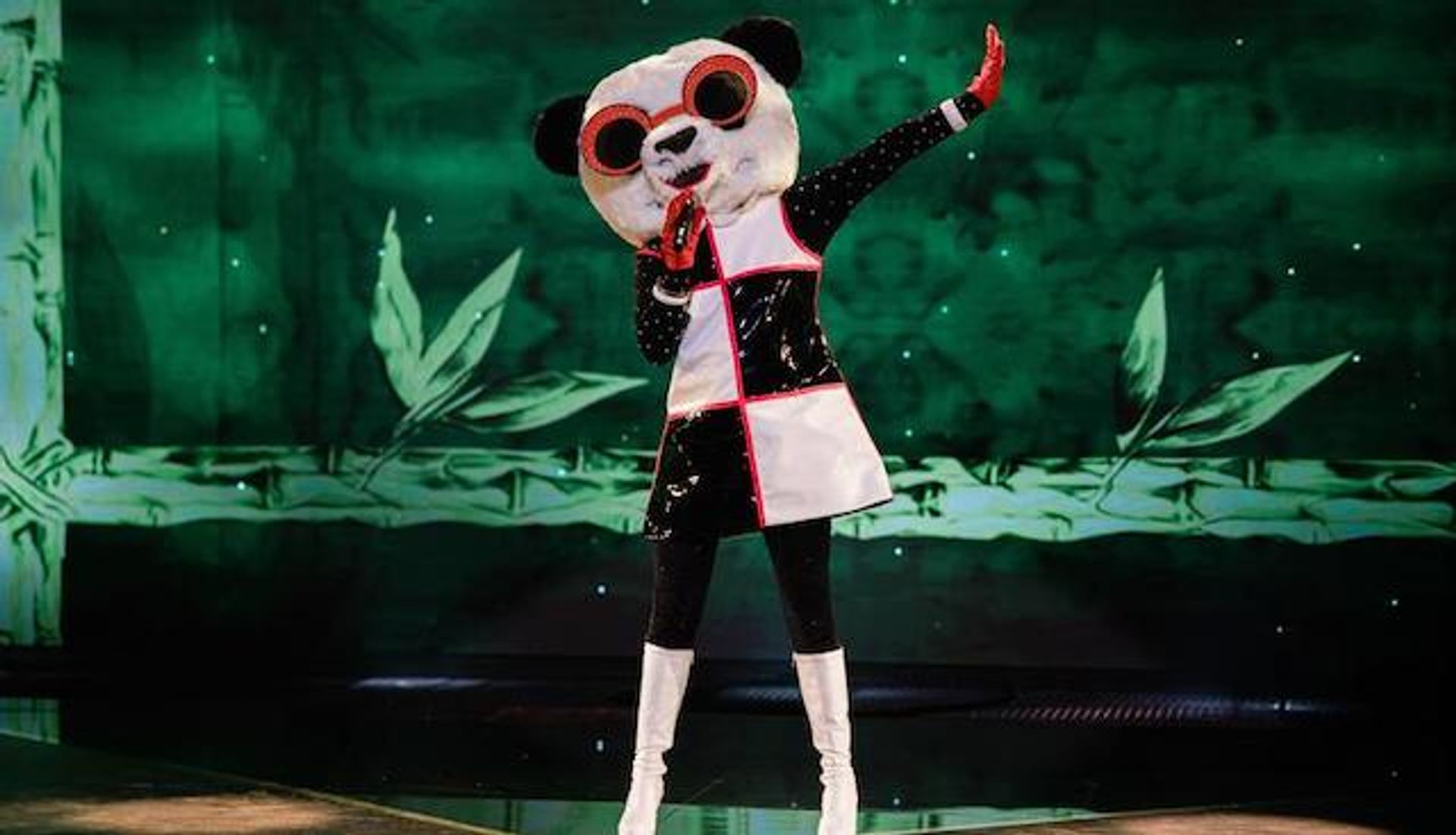panda-the-masked-singer-verraden