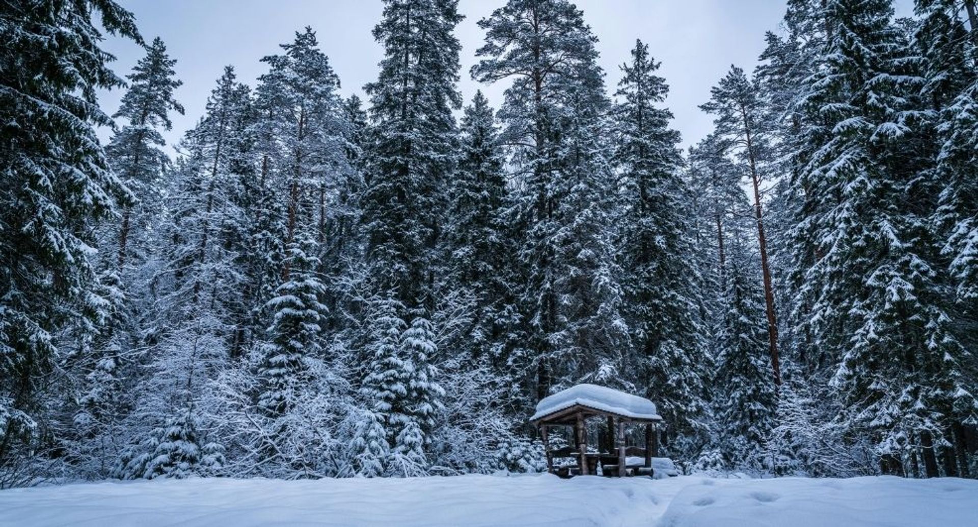 winter-vol-liefde-kandidaten