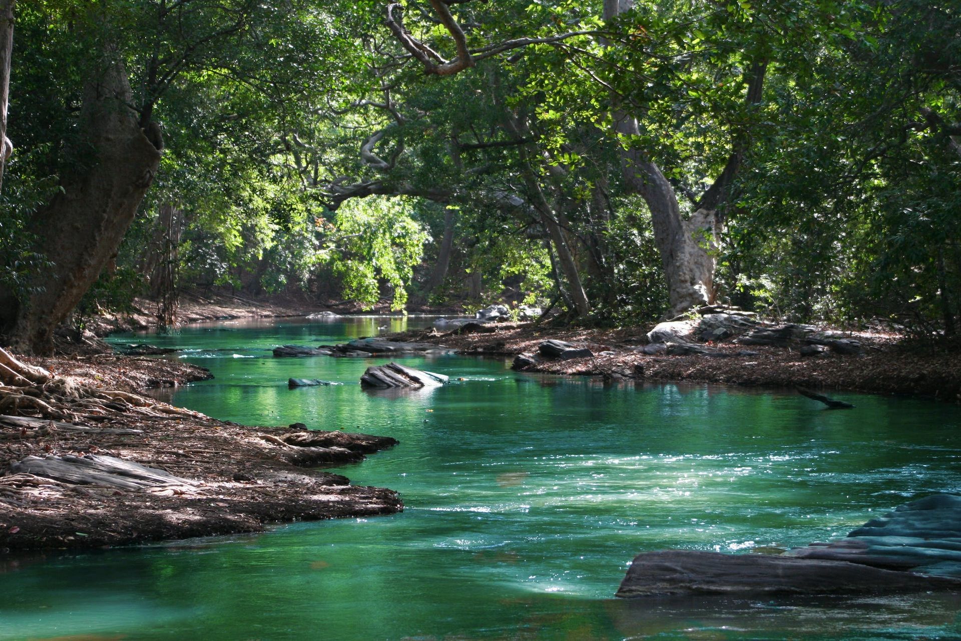 How Many Rivers Are There In Italy?